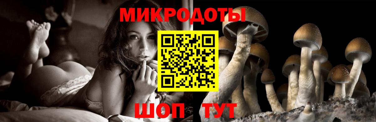 Псилоцибиновые грибы ЛСД  Вход с VPN  Куйбышев 